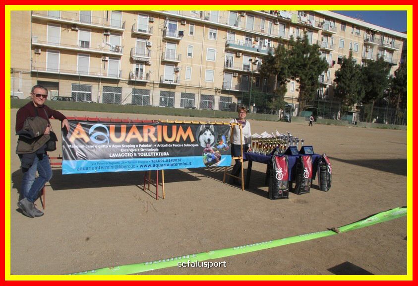 180311 mostra_canina 066.jpg